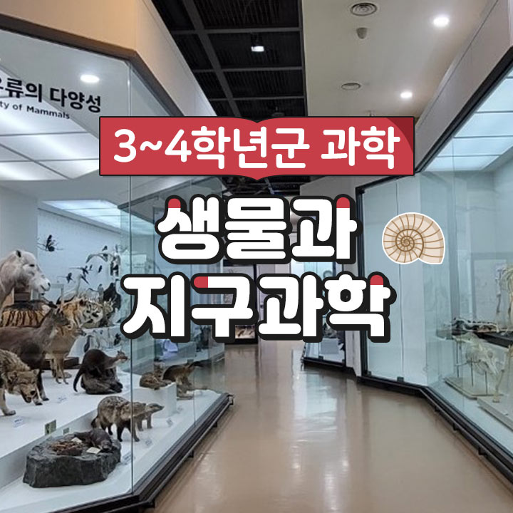 [3~4학년군 과학] 생물과 지구과학