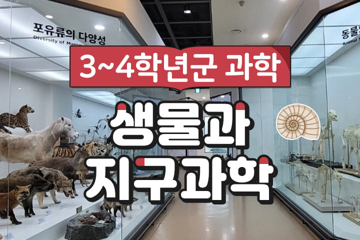 프로그램 이미지