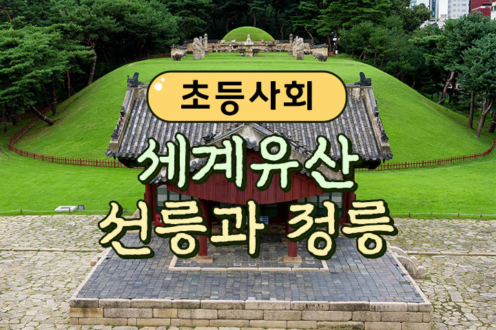 프로그램 이미지