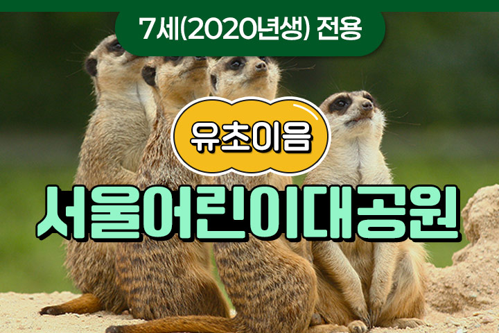 프로그램 이미지