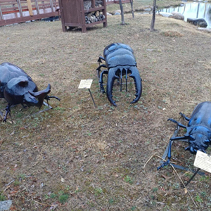 [과학교과] 곤충