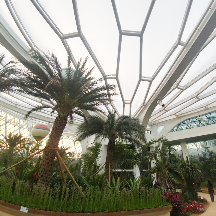 [과학교과] 식물