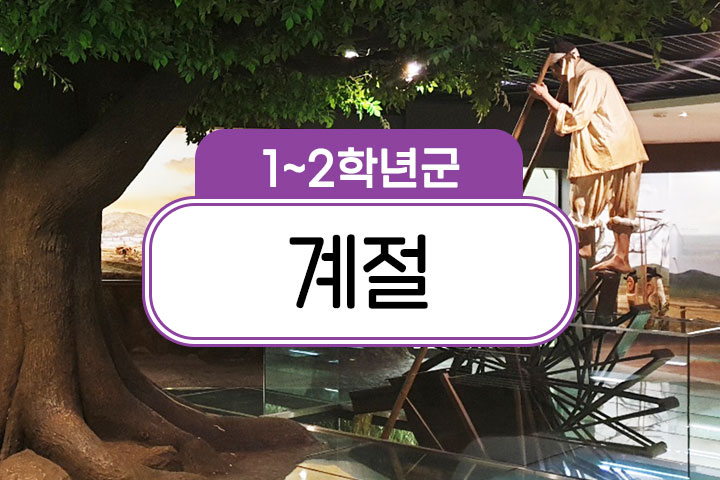 프로그램 이미지