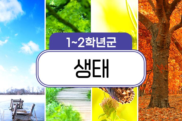 프로그램 이미지