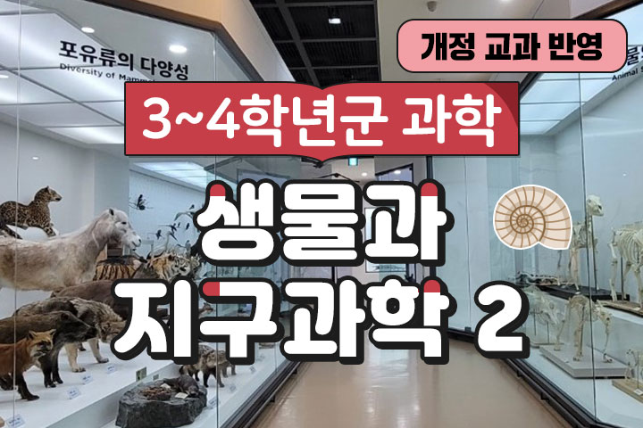 프로그램 이미지