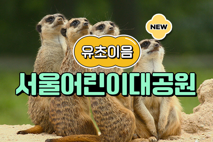 프로그램 이미지